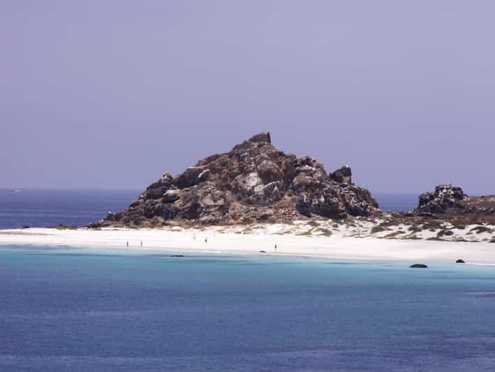 Isla Damas o Chañaral: Reserva de Ballenas y Pingüinos de Humboldt