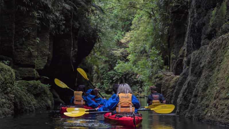 Tauranga: Excursión diurna en kayak por el pintoresco lago McLaren