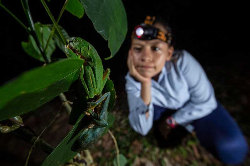 Tortuguero: Avistamiento Nocturno de Fauna y Paseo por la Selva