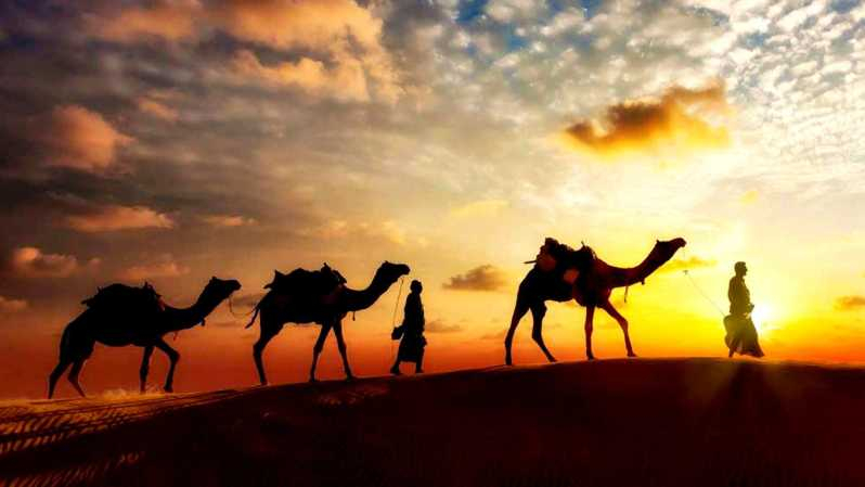Safari al Amanecer en el Desierto Abu Dhabi
