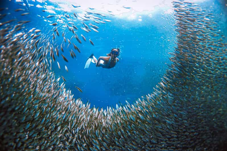 Cebú: Snorkel en Sardine Run, cataratas de Mantayupan y emociones en quad