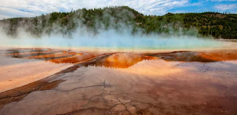 Desde Bozeman: Excursión de un día completo a Yellowstone con entrada gratuita