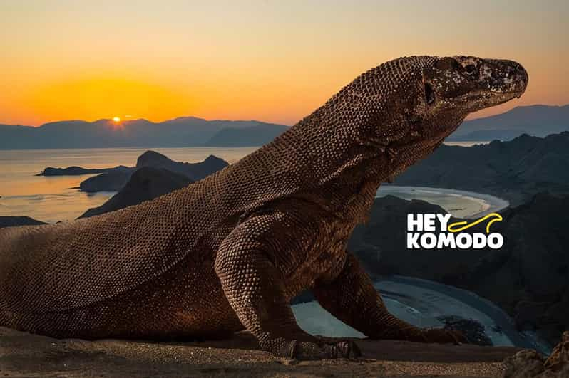 Compartir Tour de medio día al atardecer en Komodo con lancha rápida