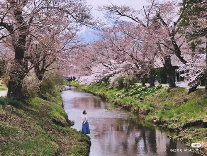 Tokio: Excursión de un día al Monte Fuji, Arakurayama y Termas de Oshino