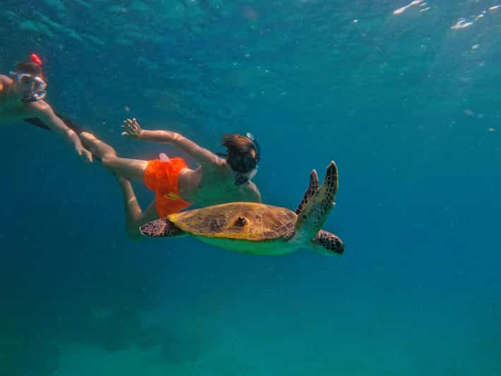 Snorkel con tortugas en Fujairah con almuerzo barbacoa