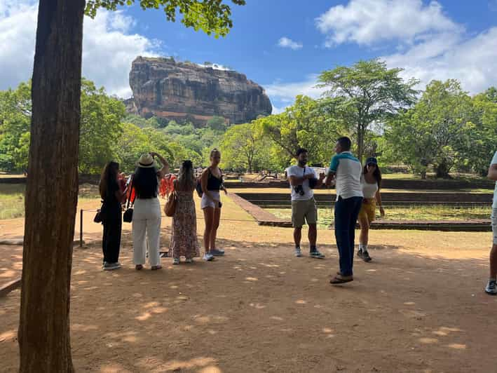 Desde Colombo: Excursión de un día a Sigiriya y Dambulla y Safari