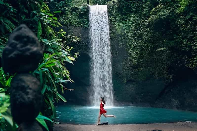 Ubud: TOUR PRIVADO Terraza de Arroz, Templo y Cascada