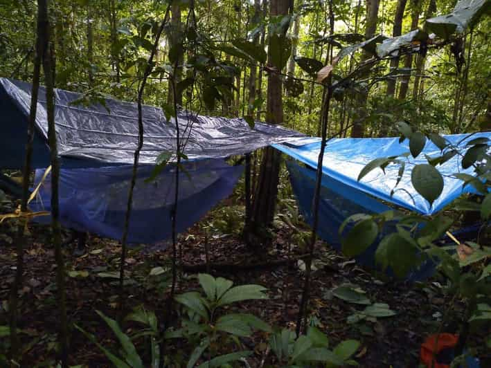 EXPLORA EL AMAZONAS