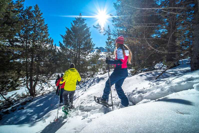 Andorra: Excursión guiada con raquetas de nieve en Grau Roig