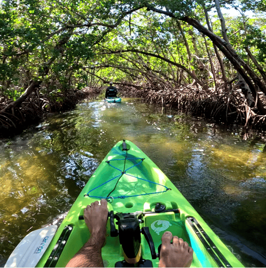 Bradenton: Excursión guiada en kayak de pedales