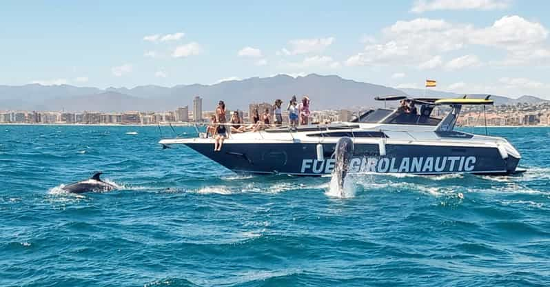 Fuengirola: Avistamiento de Delfines en Yate con Aperitivos y Bebidas