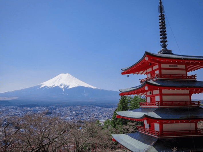 Disfruta de un tour privado con chófer por el Monte Fuji