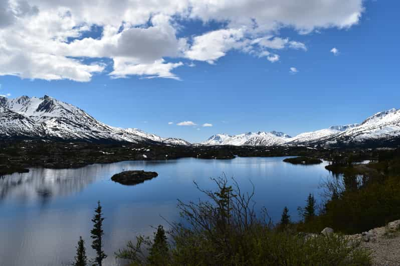 Desde Skagway Excursión guiada en autobús a la Cumbre del Paso Blanco