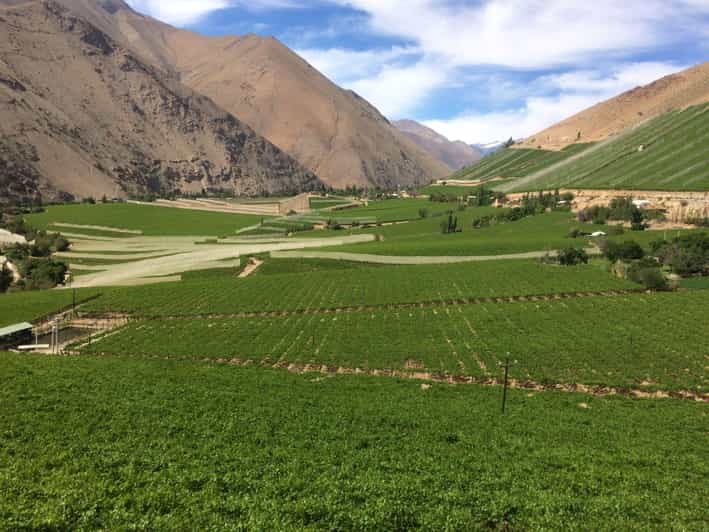 Gran Recorrido por el Valle del Elqui