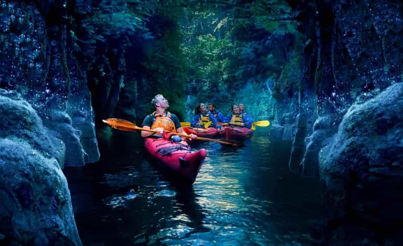 Tauranga: Excursión nocturna en kayak con luciérnagas