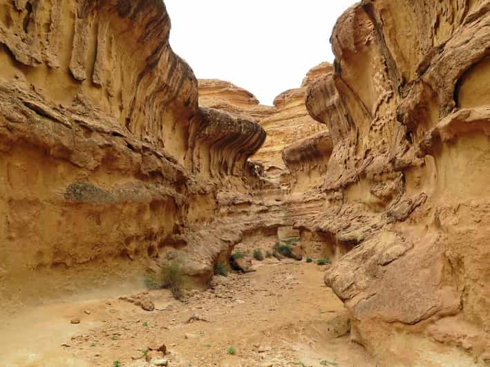 Sur de Túnez.Tozeur.Excursión de 1 día por cautivadoras gargantas.