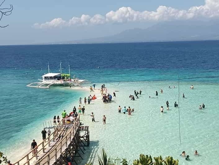 Cebú: Avistamiento de Tiburones Ballena, Isla Sumilon y Moalboal...