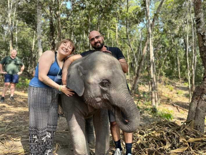 Chiang Mai: Excursión en Grupo al Santuario de Elefantes y la Cascada