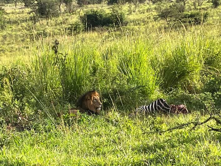 2 días de safari en Akagera con paseo en barco.