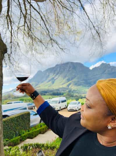 Tour privado: Tierras del Vino del Cabo a Stellenbosch y Franschhoek