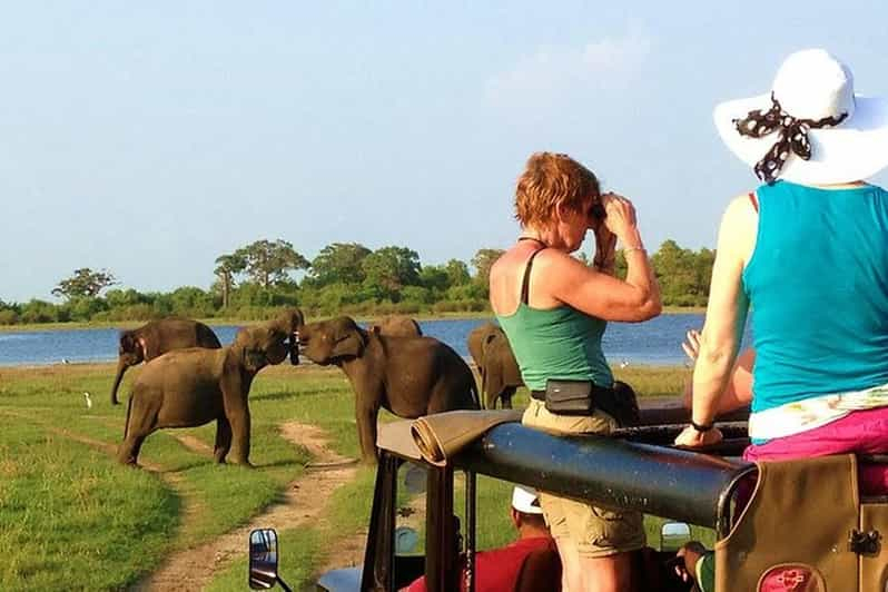 Desde Ella:Traslado a Galle/Mirissa con Udawalawa Safari