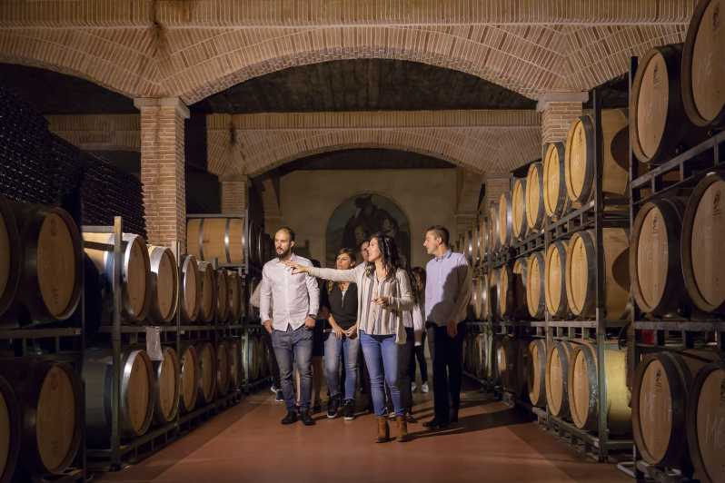Cata de vinos en la mejor bodega de España desde Alicante