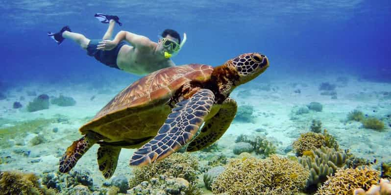 Cebú:Combo de snorkel en el paraíso de Moalboal y emociones en el cañón de Kawasan