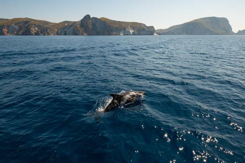 Isola di Ponza e Palmarola: giro in barca