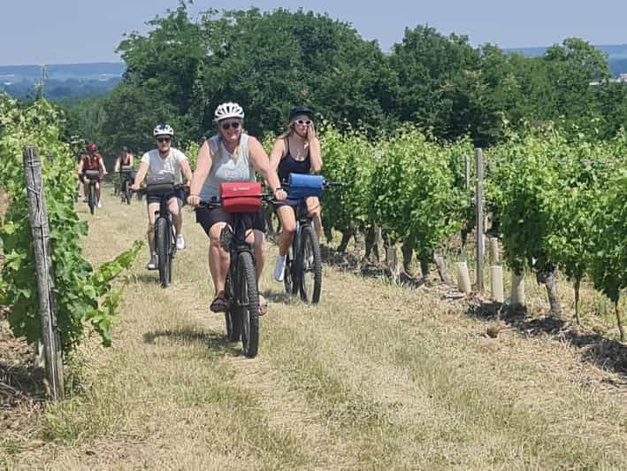 Angers: ¡Excursión en bicicleta con degustación de vinos !