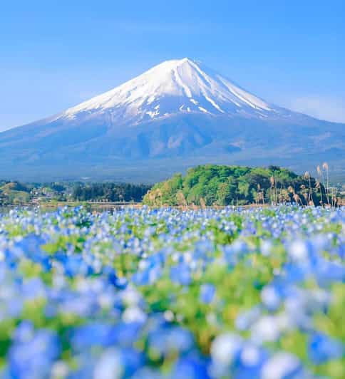 Monte fuji,hakone tour privado en coche con recogida