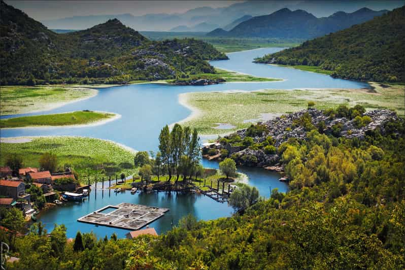 Podgorica Histórico, Safari y Visita a Bodegas - Lago Skadar