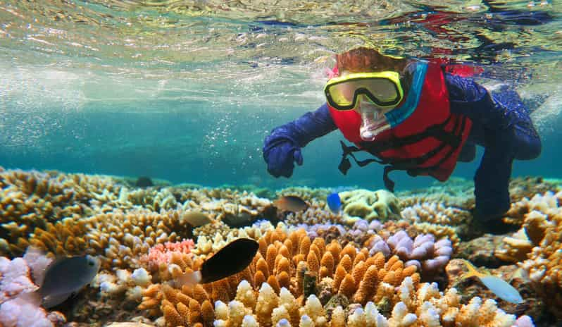 Excursión de snorkel de 2 horas