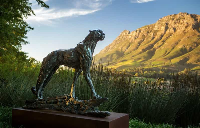 Recorre las Tierras del Vino: De Stellenbosch a Franschhoek