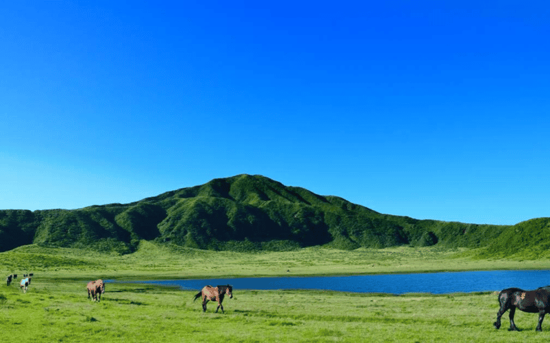 Fukuoka: Excursión de un Día al Monte Aso y Atracciones de los Alrededores