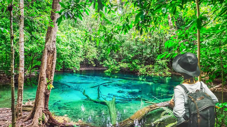 Krabi: Templo de la Cueva del Tigre, Piscina Esmeralda y Excursión a las Aguas Termales