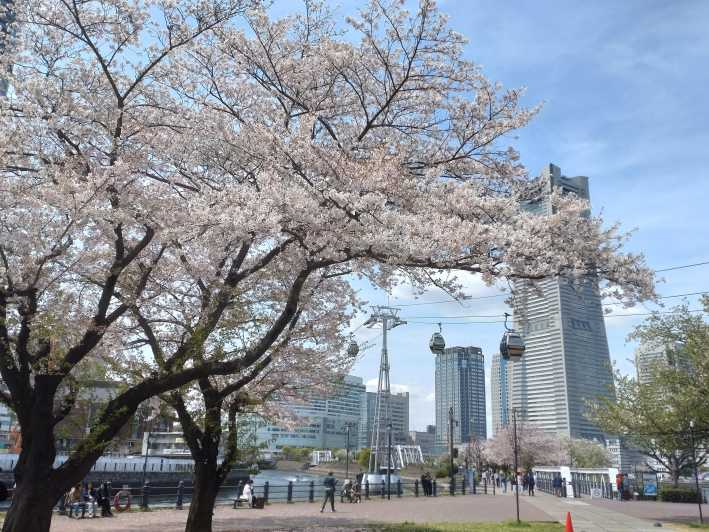 '¡Siente Yokohama!'Tour privado en inglés Cerezos en flor Ahora
