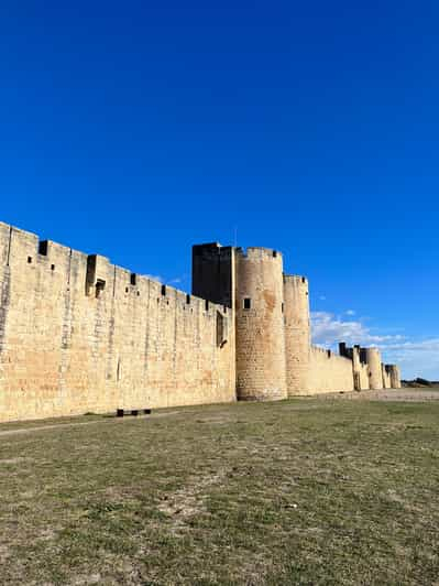 Tour de medio día por Aigues Mortes y el vino de Camarga