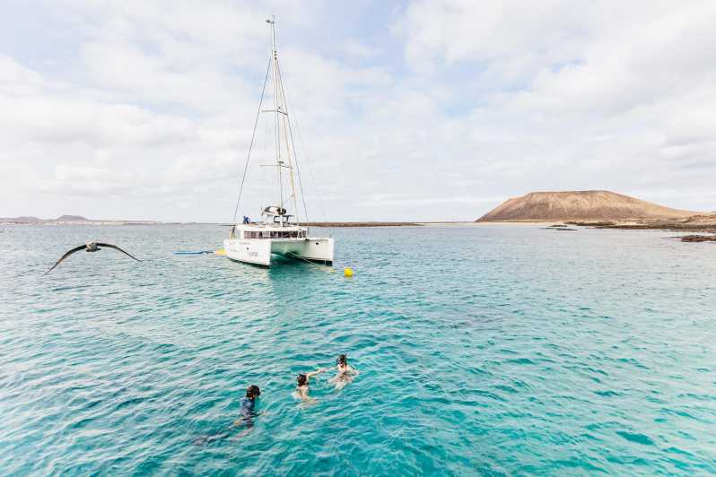 Corralejo: Navega hacia la isla de Lobos con bebidas y snorkel