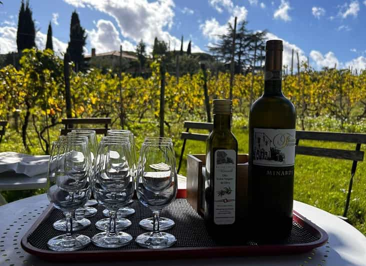 Desde Roma: Tour de medio día del vino de Frascati con comida en una granja