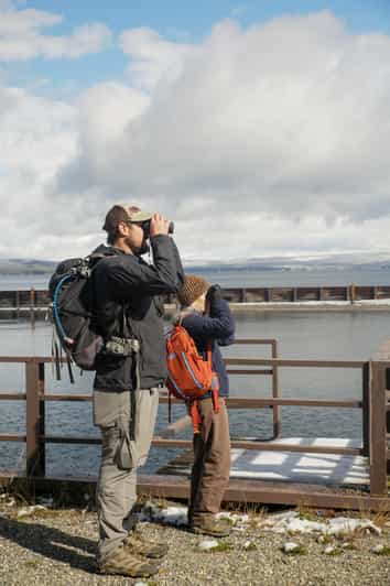 Yellowstone: Aventura invernal con raquetas de nieve