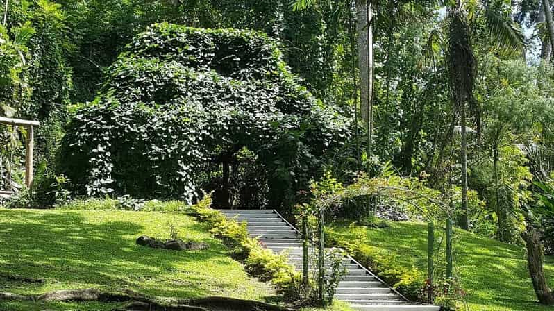 El jardín del gigante dormido