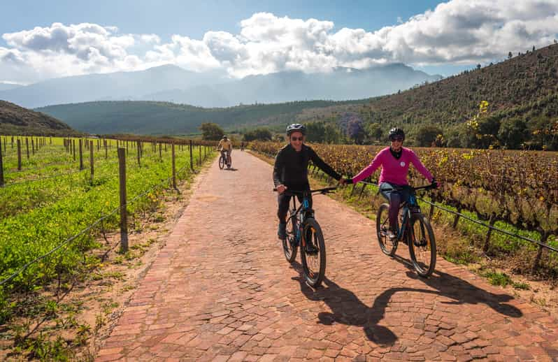 Franschhoek: Paseo privado en bicicleta eléctrica y experiencia enológica