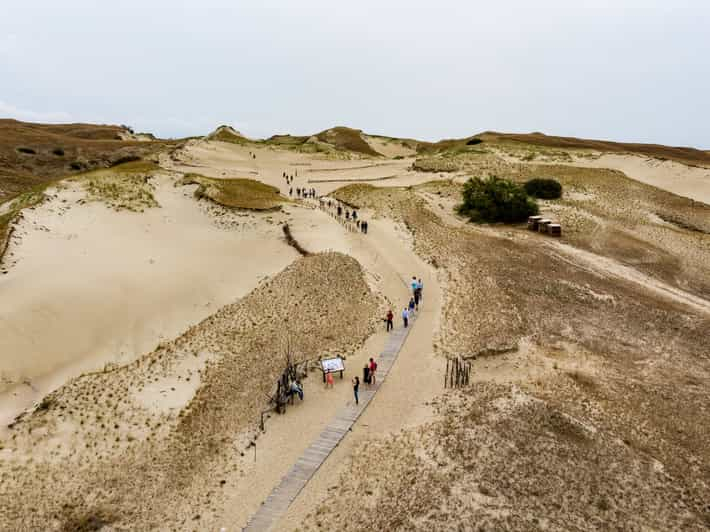 Excursión de un día: Curonian spit (Neringa) desde Klaipeda DFDS