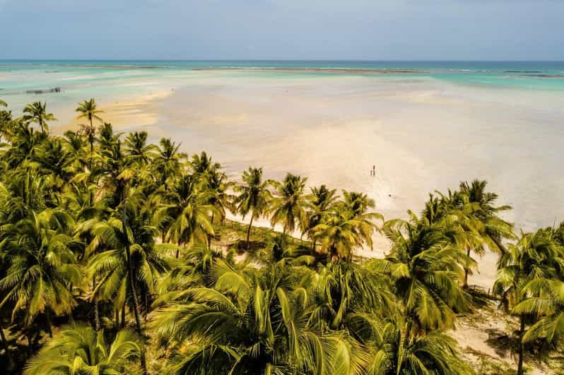 Maceió: Excursión a la Playa de Maragogi