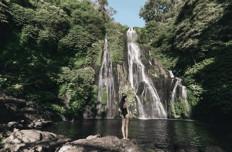 Desde Bali : Espectacular Cascada del Norte de Bali