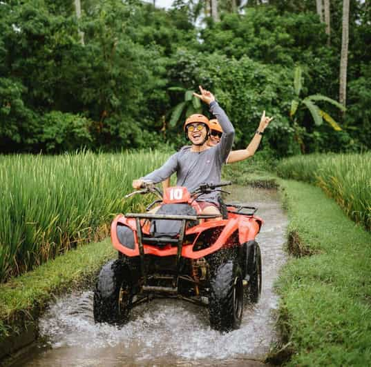 Atv Gorila Face Quat Bike,Cascada Oculta,Café y Columpio.