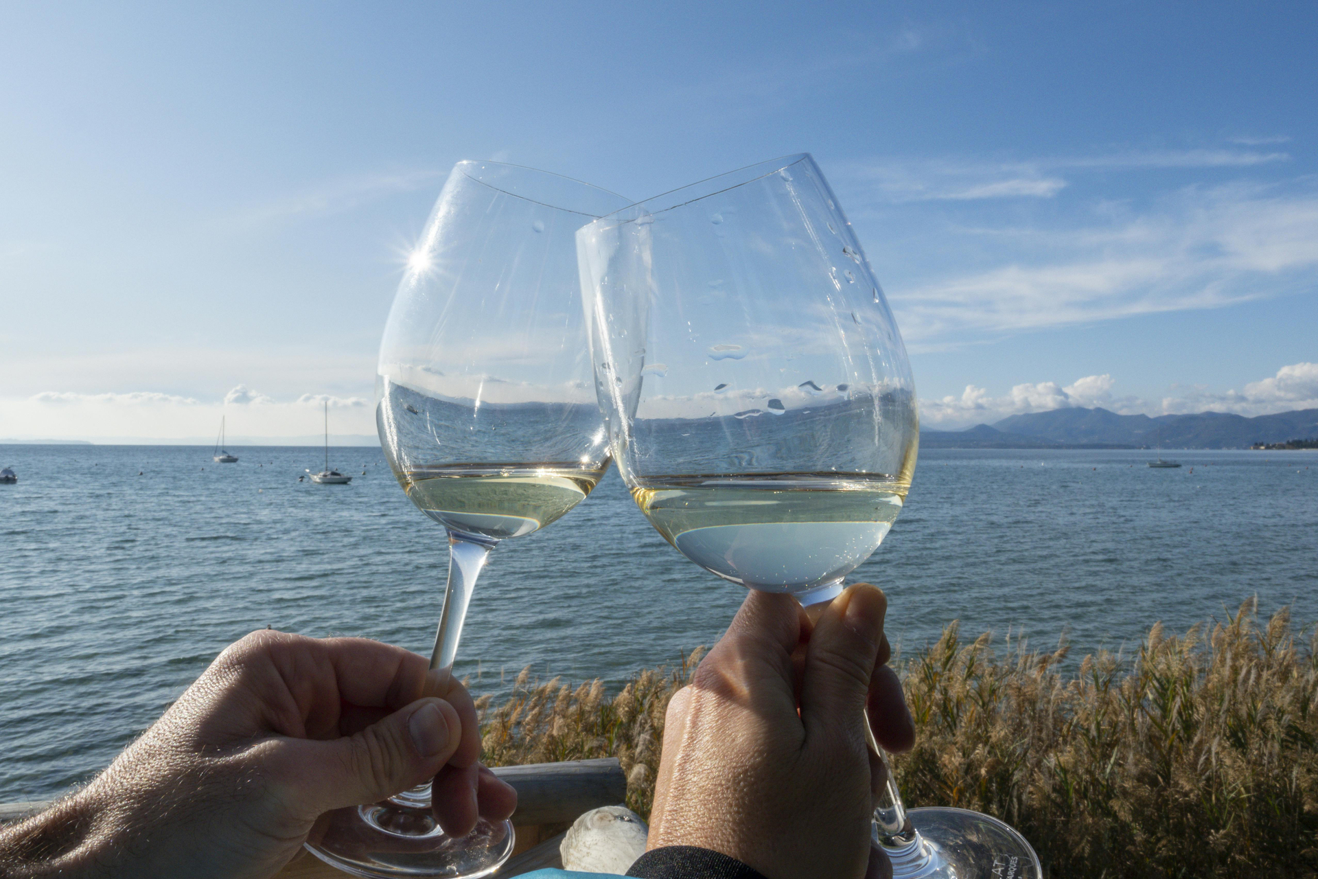 Tour privado de Sirmione y experiencia del vino Lugana