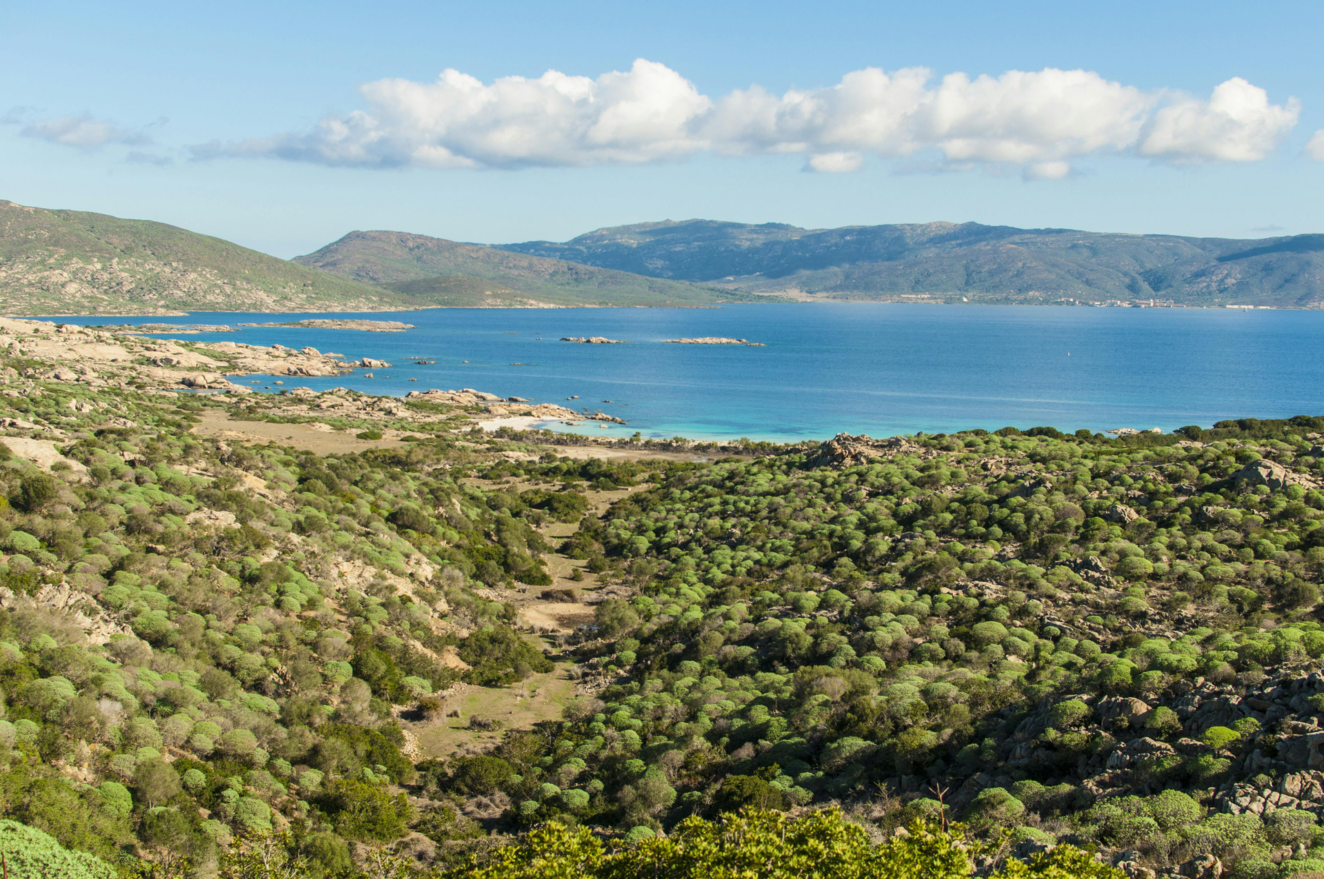 Tour de día completo al Parque Nacional Asinara