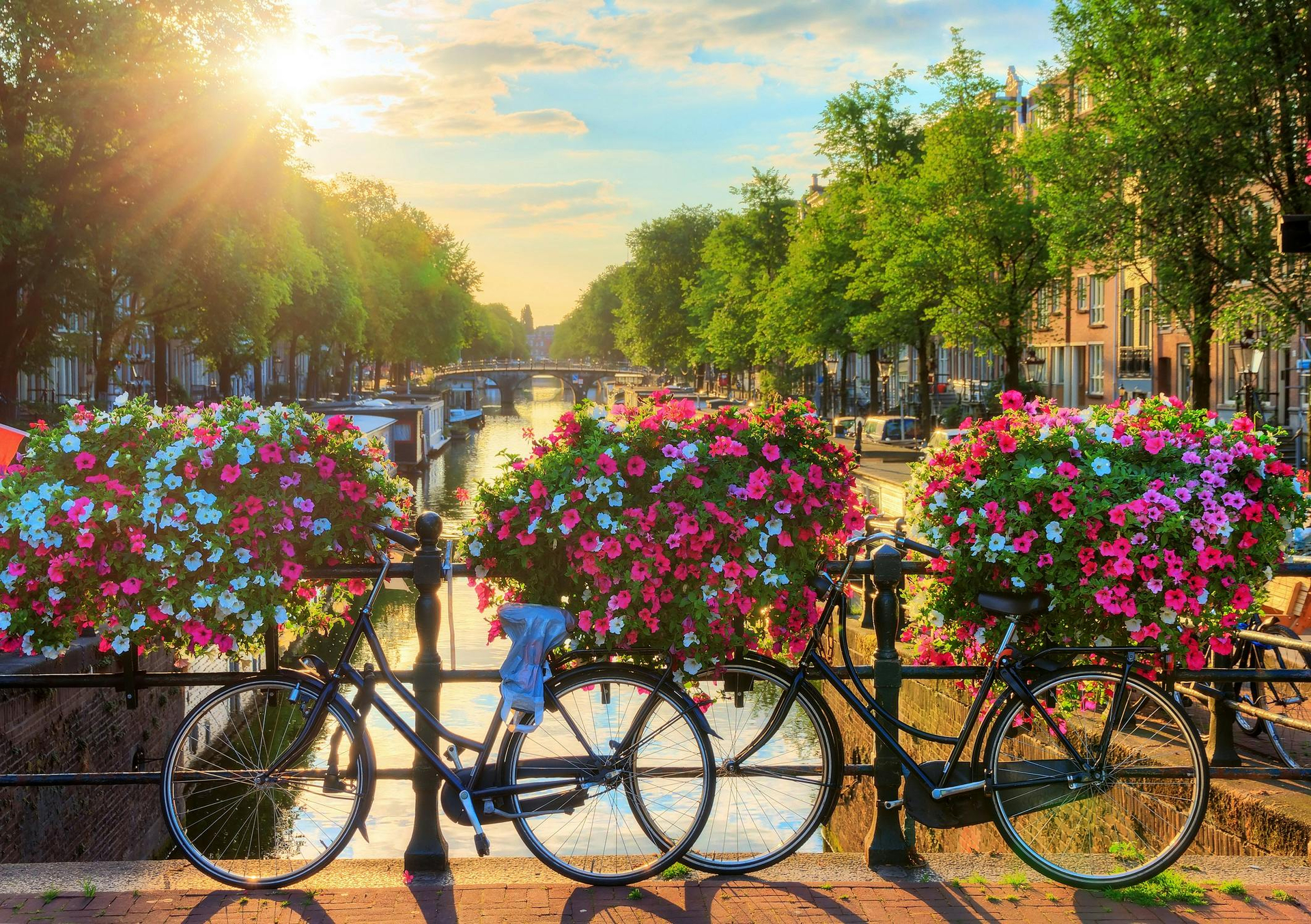 Tour en bicicleta por las gemas ocultas de Ámsterdam