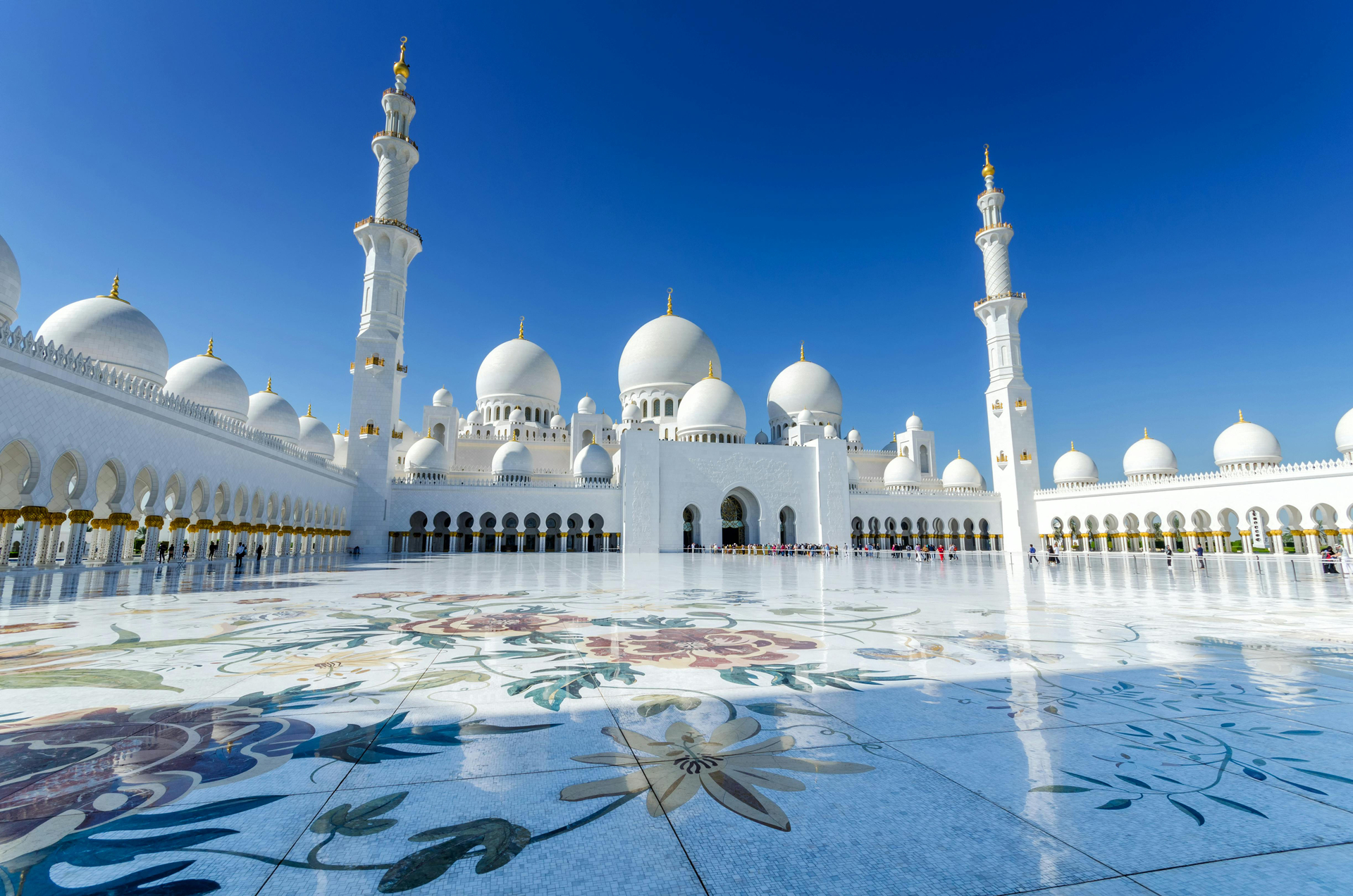 Visita turística privada al hospital Falcon de Dubái con visita a la mezquita Sheikh Zayed